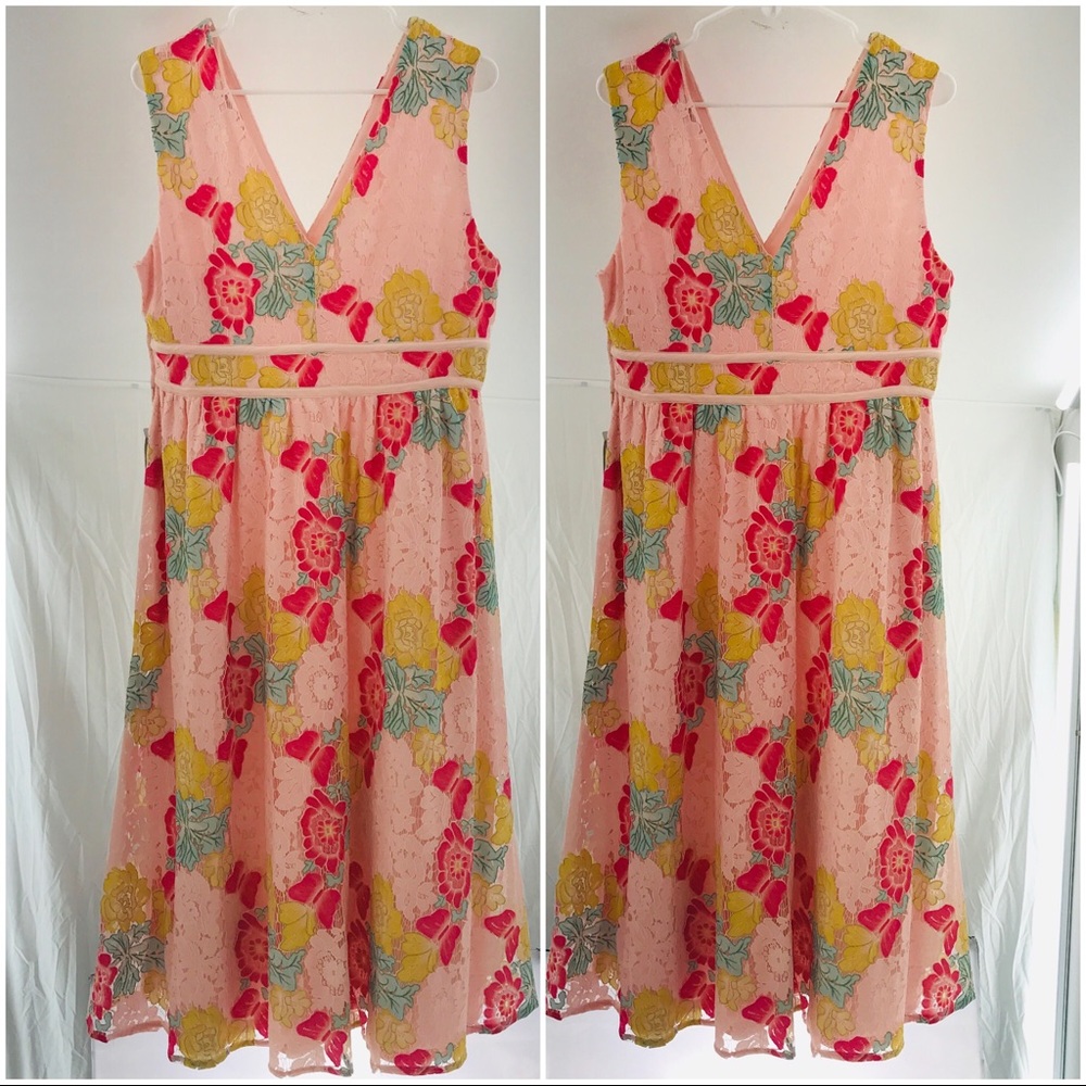 NWT NSR V-Neck Floral Lace Midi Dress